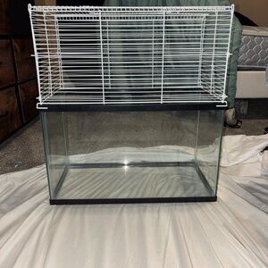 Glass and White Wire Small Pet Habitat